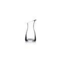 Clear glass carafe with curved sides and a spout at the top.