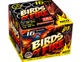 Birde of Fire