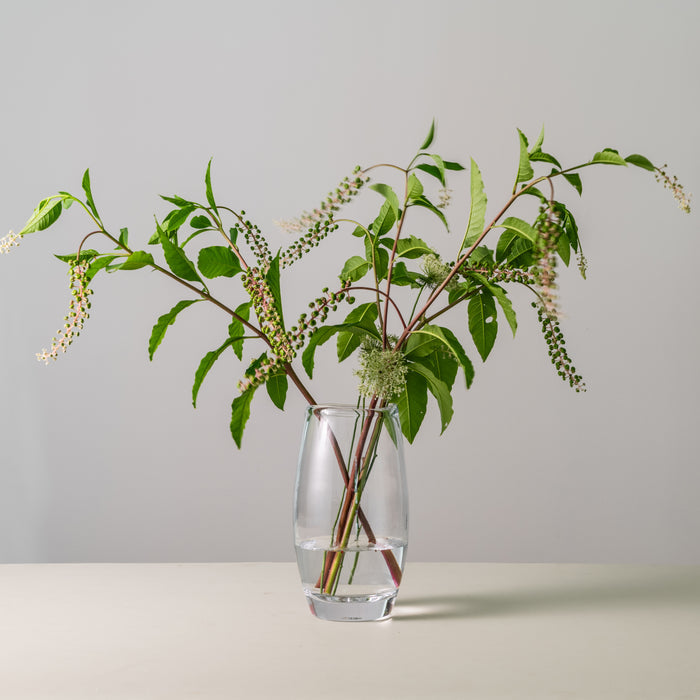Clear glass vase with tapered cylindrical shape containing green foliage branches with small white flowers.