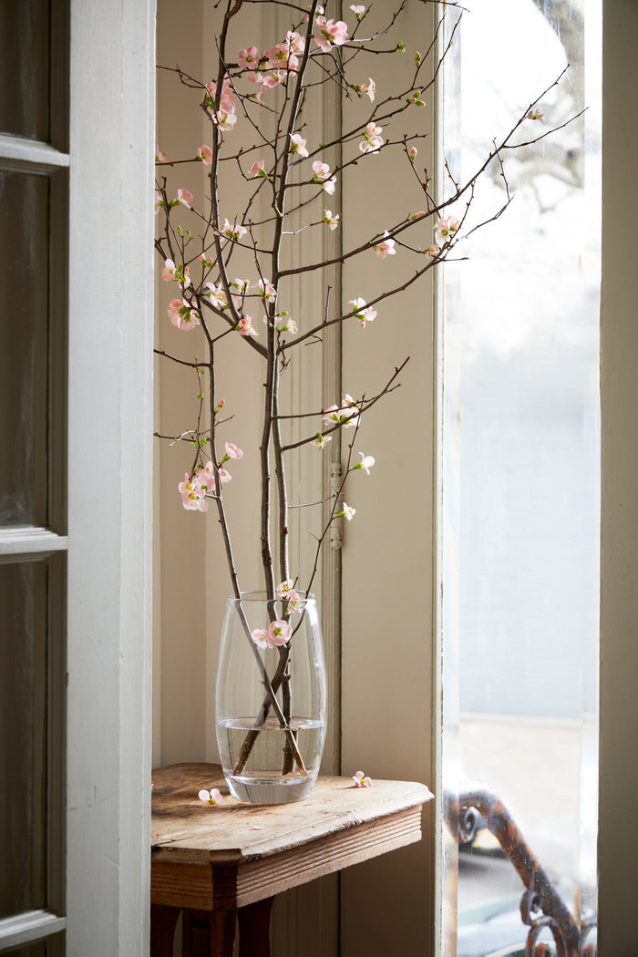 Clear glass vase with tall cylindrical shape holding branching stems with pink and white flowers.
