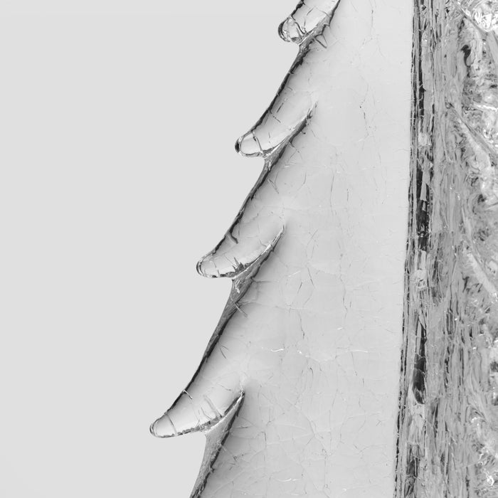 White birch branches with textured bark displayed diagonally against neutral background.