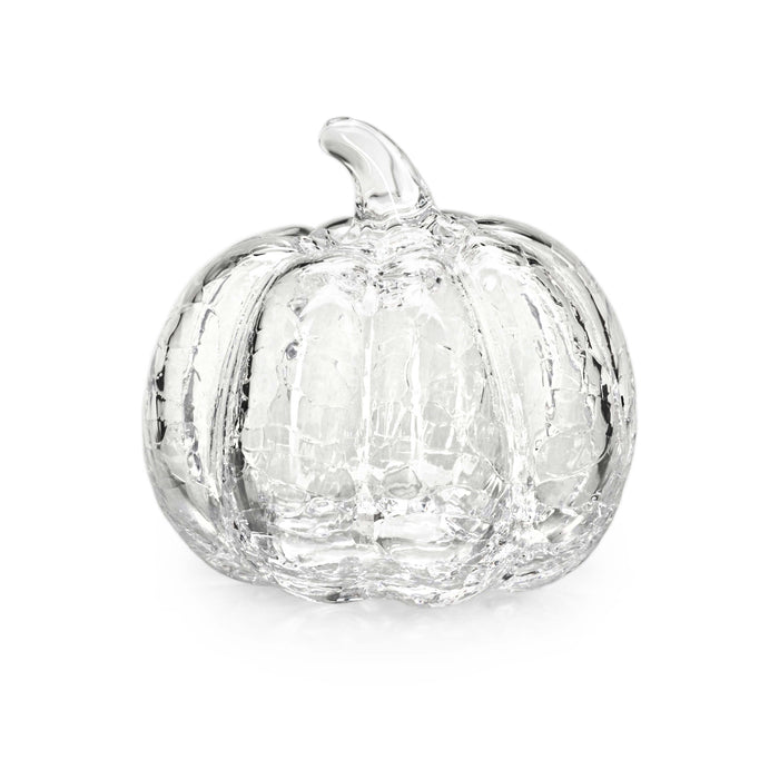 Clear glass pumpkin with crackle texture and stem on white background.