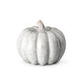 White crystalline pumpkin with ridged segments and curved stem, medium size.
