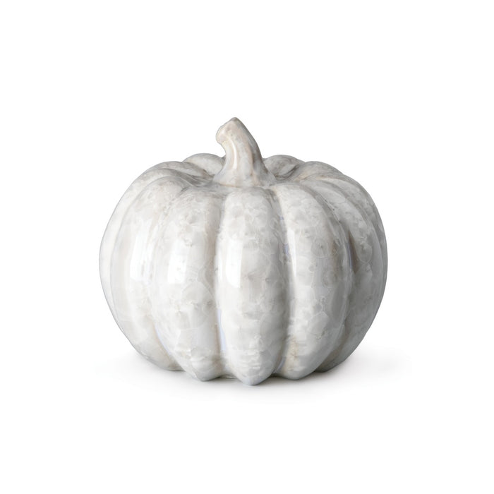 White crystalline pumpkin with ridged segments and curved stem, medium size.
