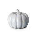 White crystalline pumpkin with segmented ridges and a curved stem on top.