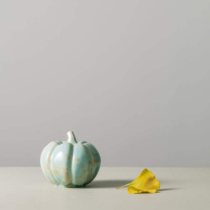 Pale green and cream crystalline pumpkin with ridged texture and stem, displayed next to a yellow leaf.