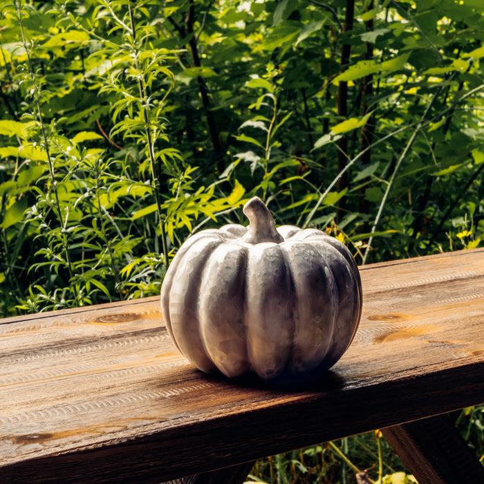 Pale gray metallic pumpkin with vertical ridges sitting on wooden beam with green foliage background.