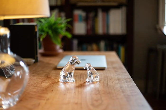 Two clear glass dog figurines on a wooden desk with office background.