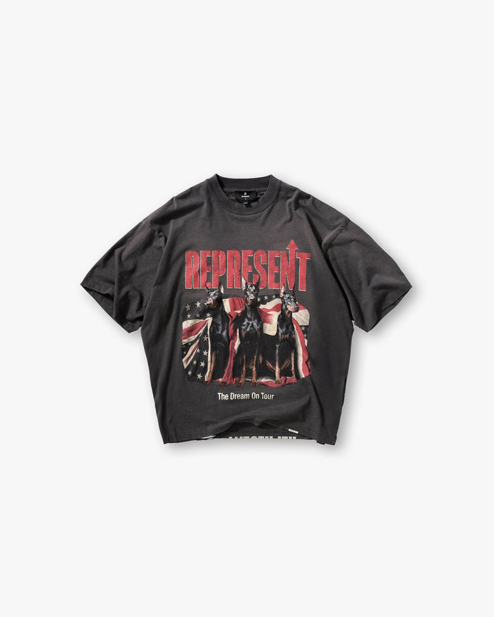 Dream_On_Tour_T-Shirt_-_Sun_Fade_Grey_01.jpg