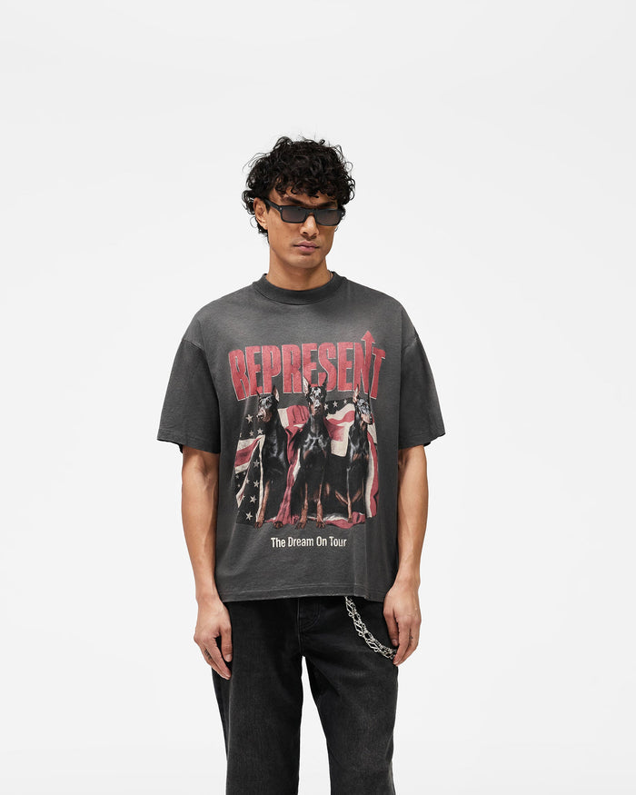 Dream_On_Tour_T-Shirt_-_Sun_Fade_Grey_03.jpg