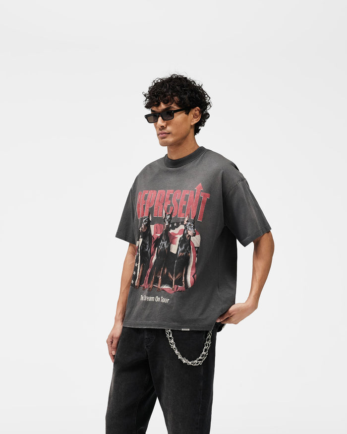 Dream_On_Tour_T-Shirt_-_Sun_Fade_Grey_05.jpg