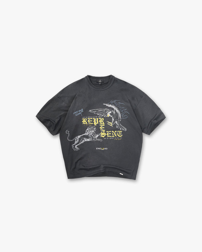 Enemy T-Shirt - Washed Black