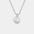 #color-silver-white