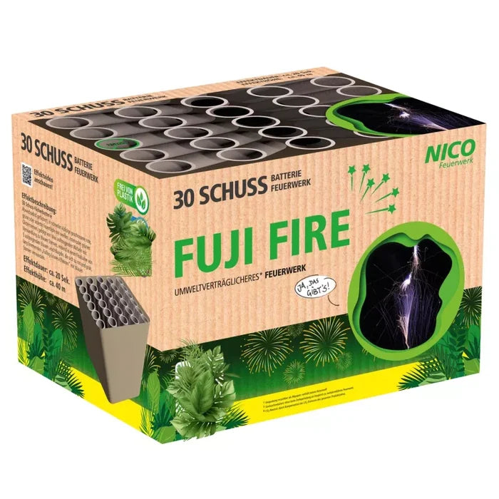 Fuji Fire