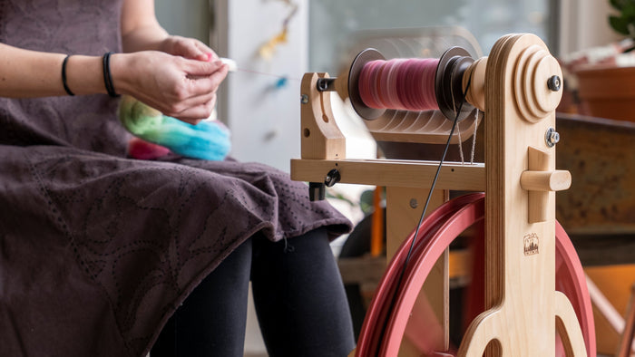 Ladybug Spinning Wheel