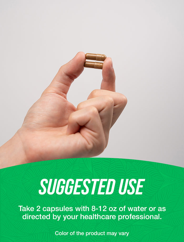 Kudzu root capsules suggested use image