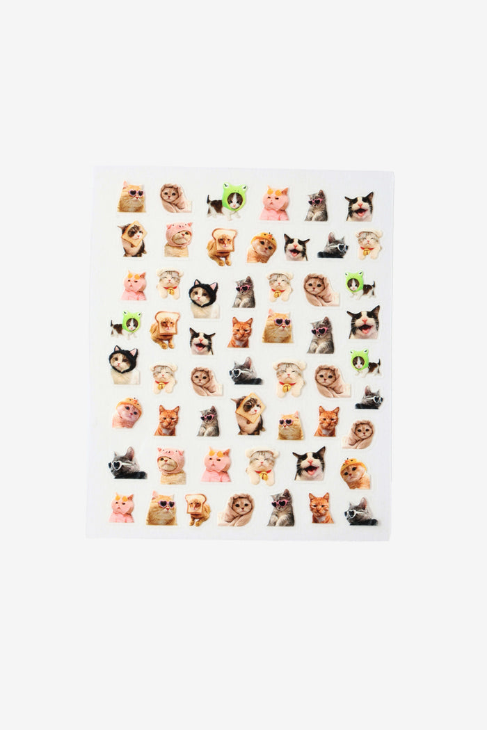 Meme Cat - Nail Stickers