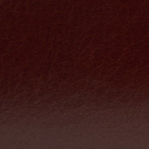 Men's Rangeley Derby Lace-Up