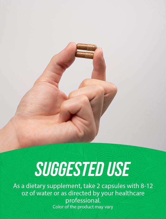 Moringa Extract Capsules 360ct Suggested Use Image