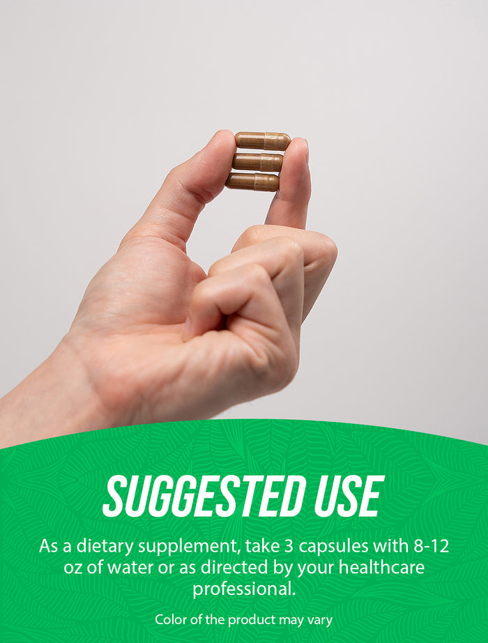 Motherwort Extract Capsules Suggested Use Image