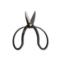 Black pruning scissors with pointed blades, curved handles, and brass pivot bolt against white background.