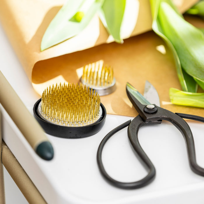 Black-handled pruning scissors with curved blades displayed next to brass cleaning brushes and green plant leaves.