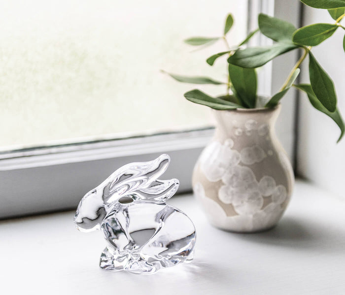 Clear glass rabbit figurine sitting on white surface next to potted plant.