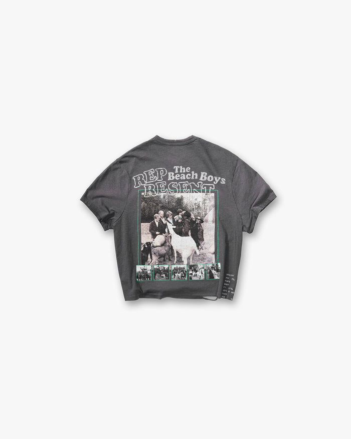 Represent_x_Beach_Boys_Pet_Sounds_T-Shirt_-_Sunfade_Grey_02.jpg