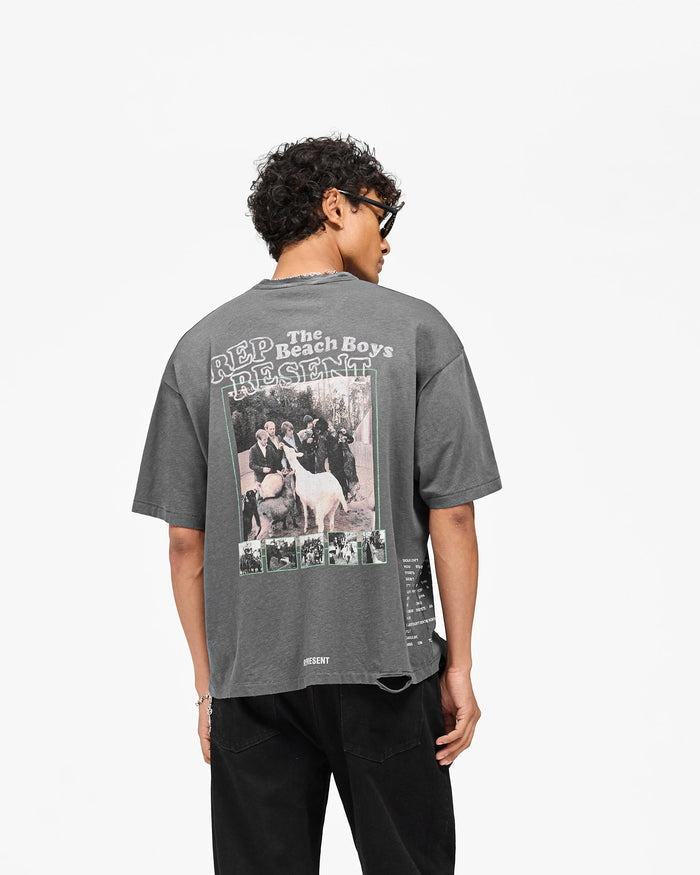 Represent_x_Beach_Boys_Pet_Sounds_T-Shirt_-_Sunfade_Grey_06.jpg