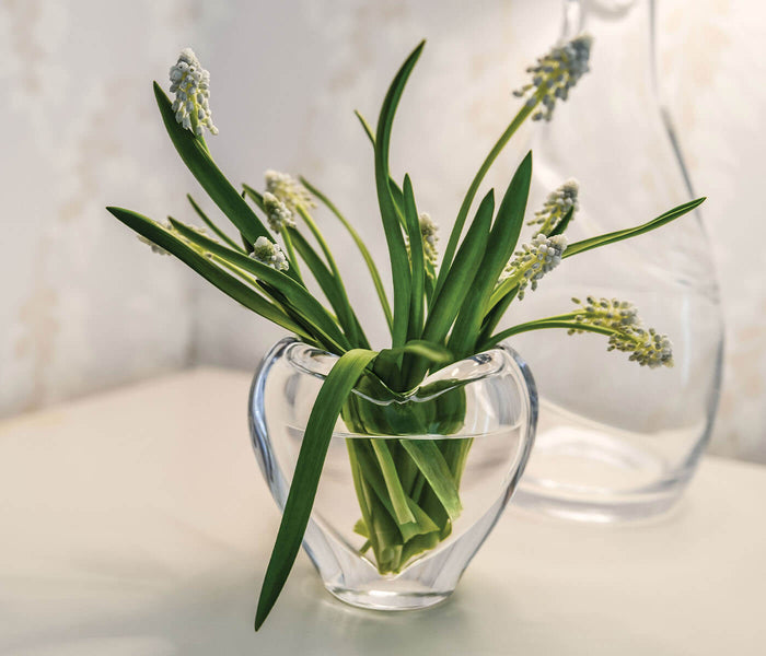 Clear glass heart-shaped vase filled with green stems and small white clustered flowers.