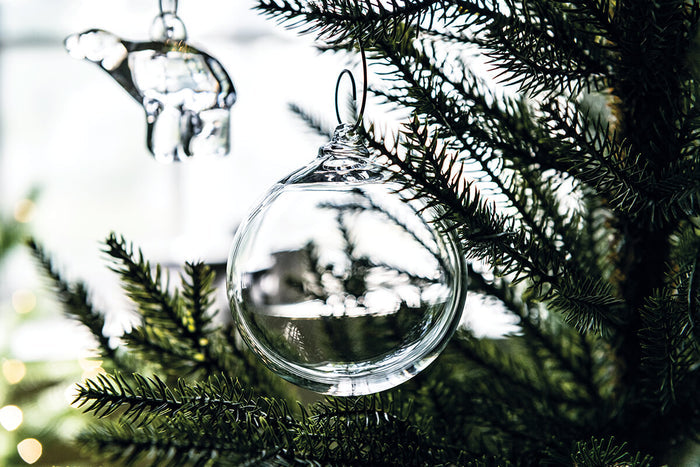 Clear glass round ornament with silver cap and string, hanging from evergreen branch.