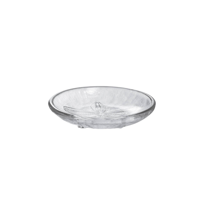 Clear glass plate with sand dollar relief design and textured interior.