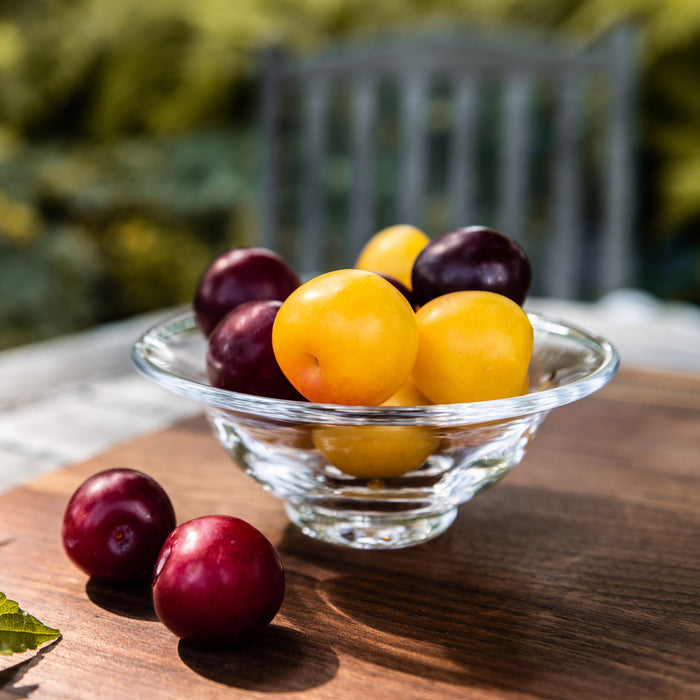 Clear glass bowl with wide rim containing yellow and dark red plums on wooden surface.