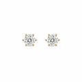 Small Stud Earring