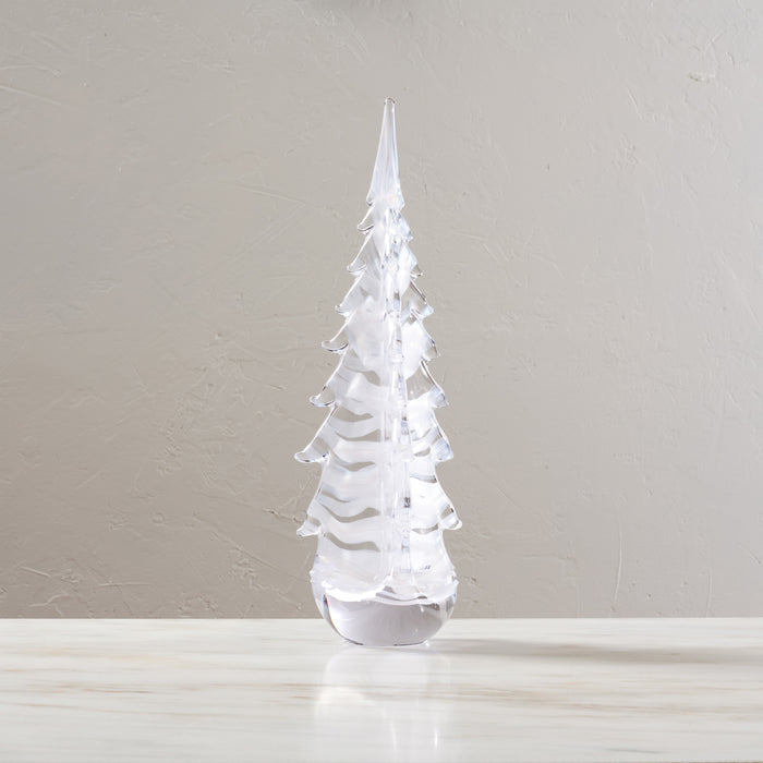 Snowdrift Evergreen in Gift Box