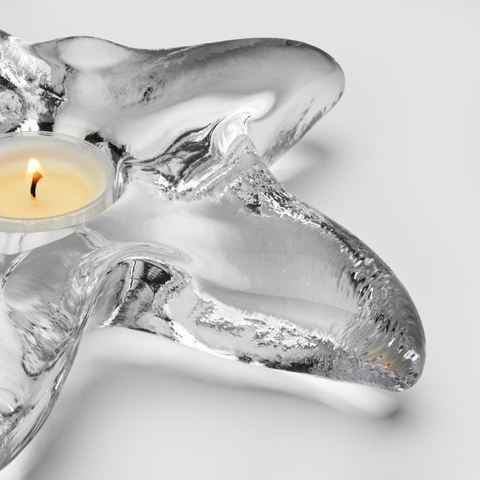Clear glass starfish-shaped tealight holder with lit cream candle inside.