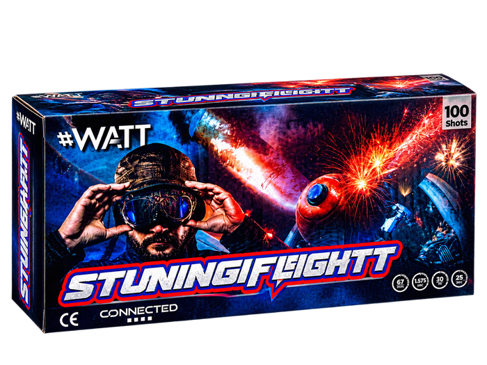 Stuning Flight
