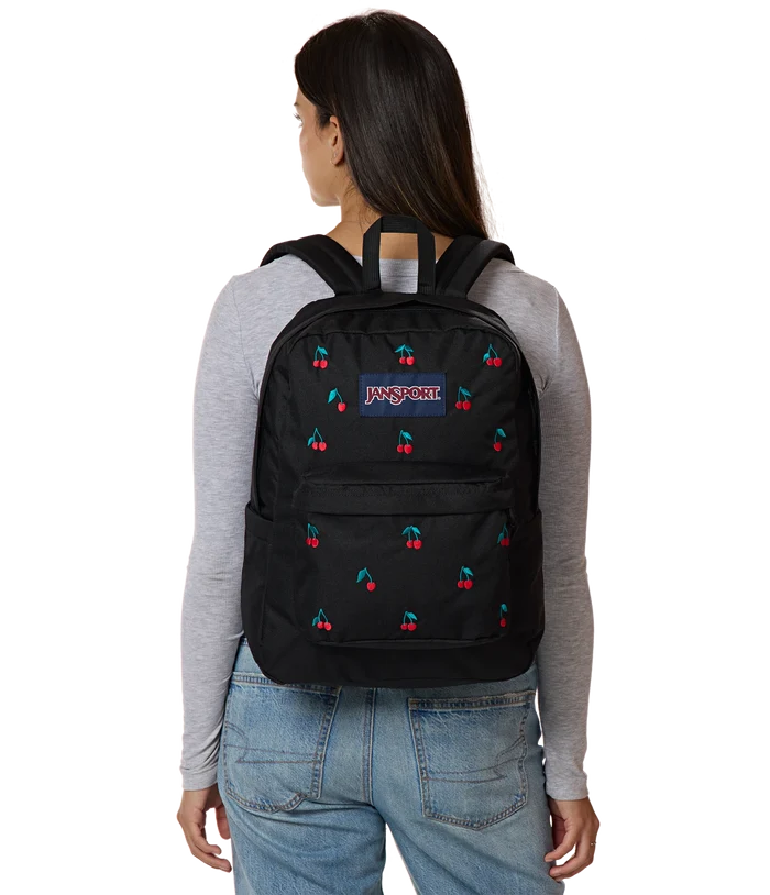 JS0A4QUALK3-MODEL