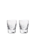 Two clear glass shot glasses with textured sides and reinforced bases.