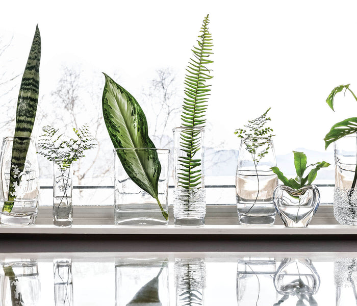 Clear glass bud vases in various sizes arranged in a row, each holding different green foliage and plant stems.
