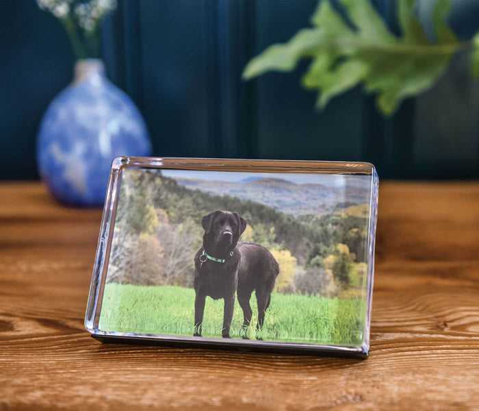 Clear acrylic photo block displaying horizontal image of black dog standing in grassy field with forested mountains in backgr